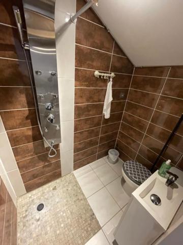 Studio Privee Vesoul -Wifi,Tv,Clim,Parking Gratuit Екстериор снимка